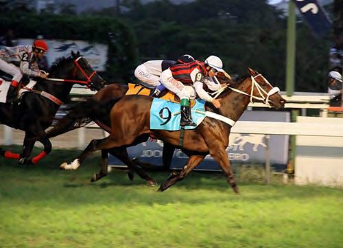 Solanes J-A. Domingos 2-Leading Hat, f, 3, Top Hat e Leading Cat, por Roi Normand P/C-São José da Serra T-R.