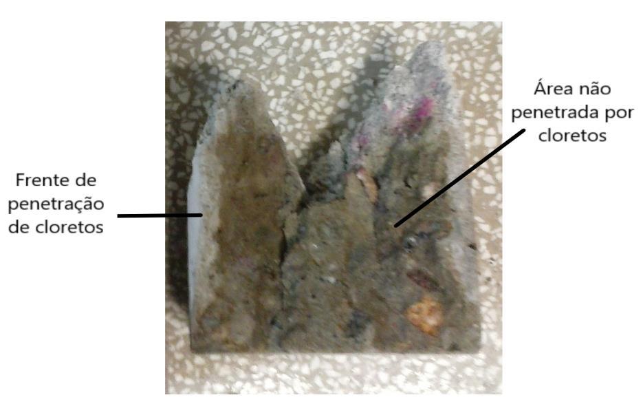 Figura 12. Exemplo da frente de penetração de cloretos na amostra fraturada Figura 13.