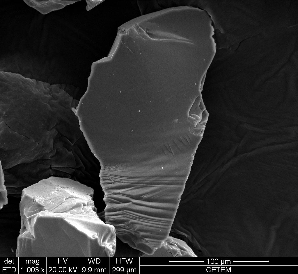 117 Figura 59- Imagem de MEV de células da bactéria R. opacus na superfície do quartzo após flotação.