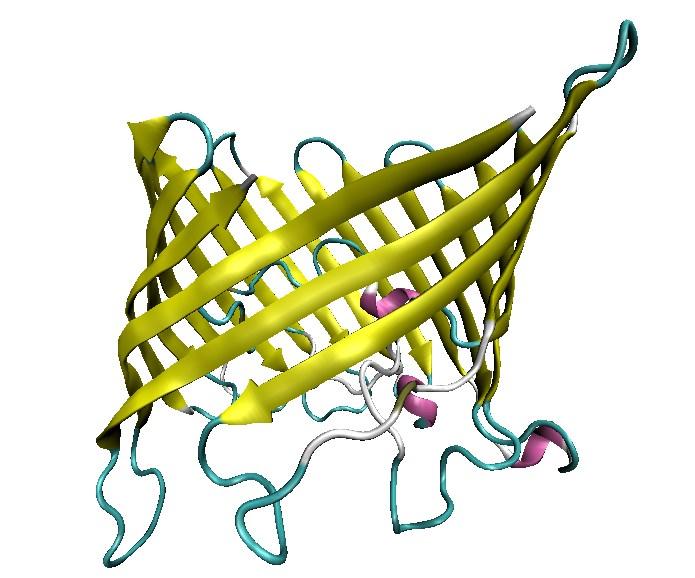 Interação Intermoleculares Outra estrutura possível para proteínas transmembranares é a folha beta.