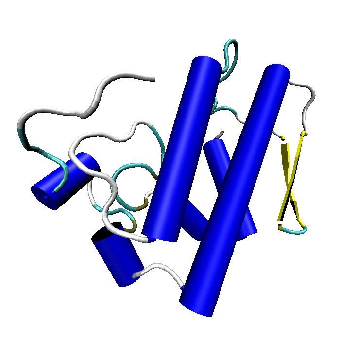Interação Intermoleculares Entre as proteínas identificadas nos venenos, destacam-se as metaloproteases e as fosfolipases A2 (discutidas aqui).