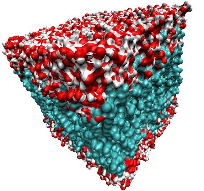 Modelo de Mosaico Fluido A principal função da membrana celular é manter moléculas tão diversas como proteínas e pequenos solutos no interior da célula.