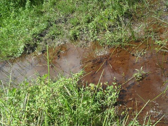 A área está inserida dentro do GL1 na bacia do Rio Timbó, sendo hoje a UC reduzida a cerca de 10% da sua área original, estando a destruição da vegetação relacionada