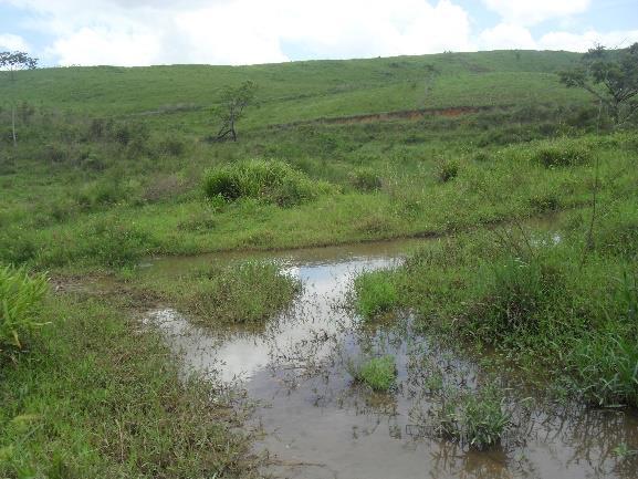 A RPPN Fazenda Santa Rita (08º 41'25"S / 35º29'08"W) foi definida pela Portaria CPRH nº 071/06 de 27 de abril de 2006 com 122,71 ha de Floresta Ombrófila