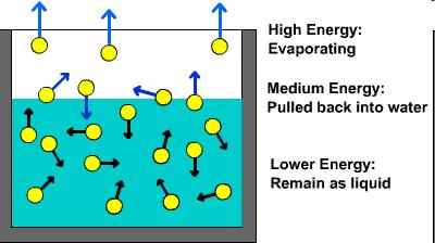 Moléculas com diferentes energias: Alta energia: Evaporam Média energia: O que ocorre a 100 o C?