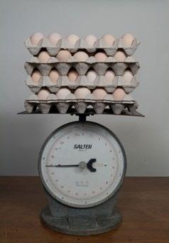 MANUAL DE MANEJO DE MATRIZES ROSS: Manejo até o início da produção (desde as 15 semanas de idade até o pico de produção) Peso do ovo e controle da quantidade de alimento As tendências de peso diário