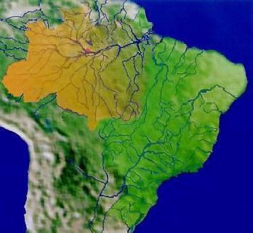 Figura 1: Malha Hidrográfica Brasileira, em destaque a Bacia Amazônica e a cidade de Manaus.