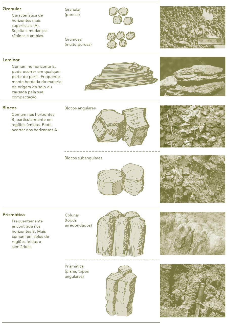 Figura 2.1 -Os diferentes tipos de estrutura do solo com ilustração esquemática e foto de campo (Brady & Weil, 2012).