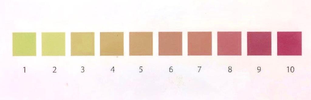 82 TABELAS E ILUSTRAÇÕES Figura 1 O intervalo entre os números da escala representa uma diferença de cor (ΔE) igual a 7, quando medidos por espectrofotometria.