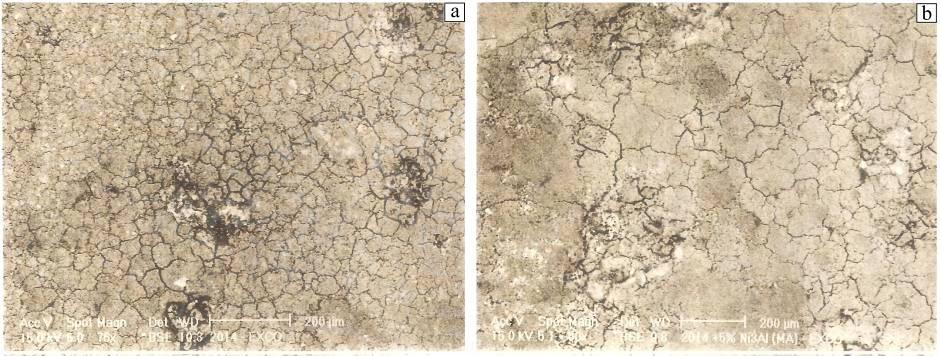Resistência a corrosão de compósitos de matriz metálica a base de alumínio reforçado com intermetálico Ni 3 Figura 5 - Aspecto superficial das amostras (a) MA24 (b) MA24 + 5% Ni 3 Al MA, apos ensaio