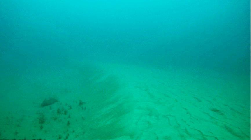 Figura 4: Aspecto do leito do Canal de Salvador a profundidade de 30 m, com a estrutura de fundeio se assentando à frente da face deslizante de uma duna submersa direcionada para dentro da baía
