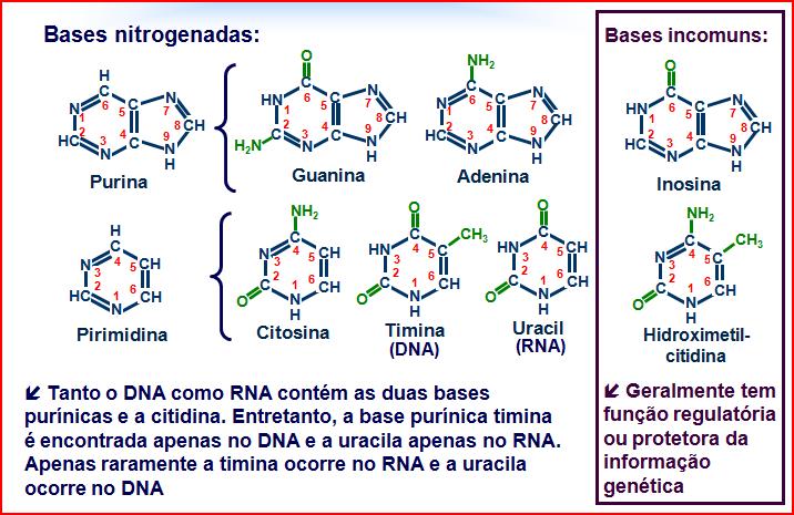 Estrutura geral