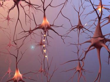 O neurônio
