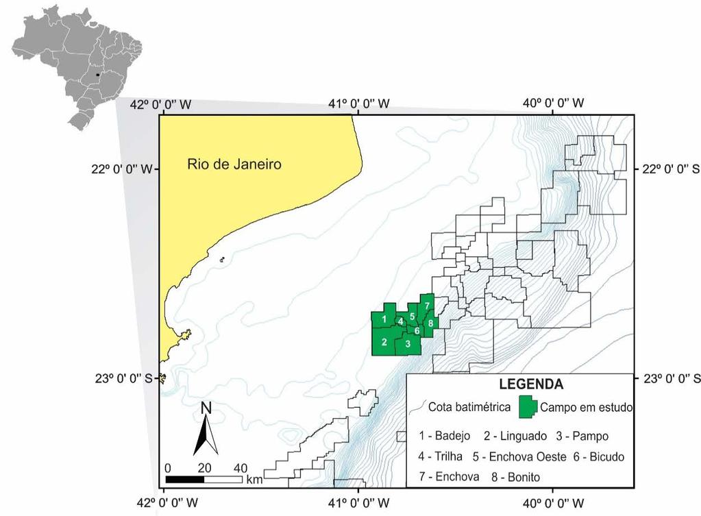 década de 70, no campo de Enchova, seguido até 1981 por Garoupa, Pampo, Badejo e Linguado, situados na porção sudoeste da bacia (Bruhn et al., 2003).