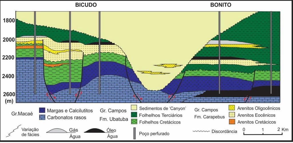 Figura 3 - Seção esquemática entre os campos de Bicudo e Bonito. Fonte: Guardado & Arso (1984 apud Guardado et al. (1989).