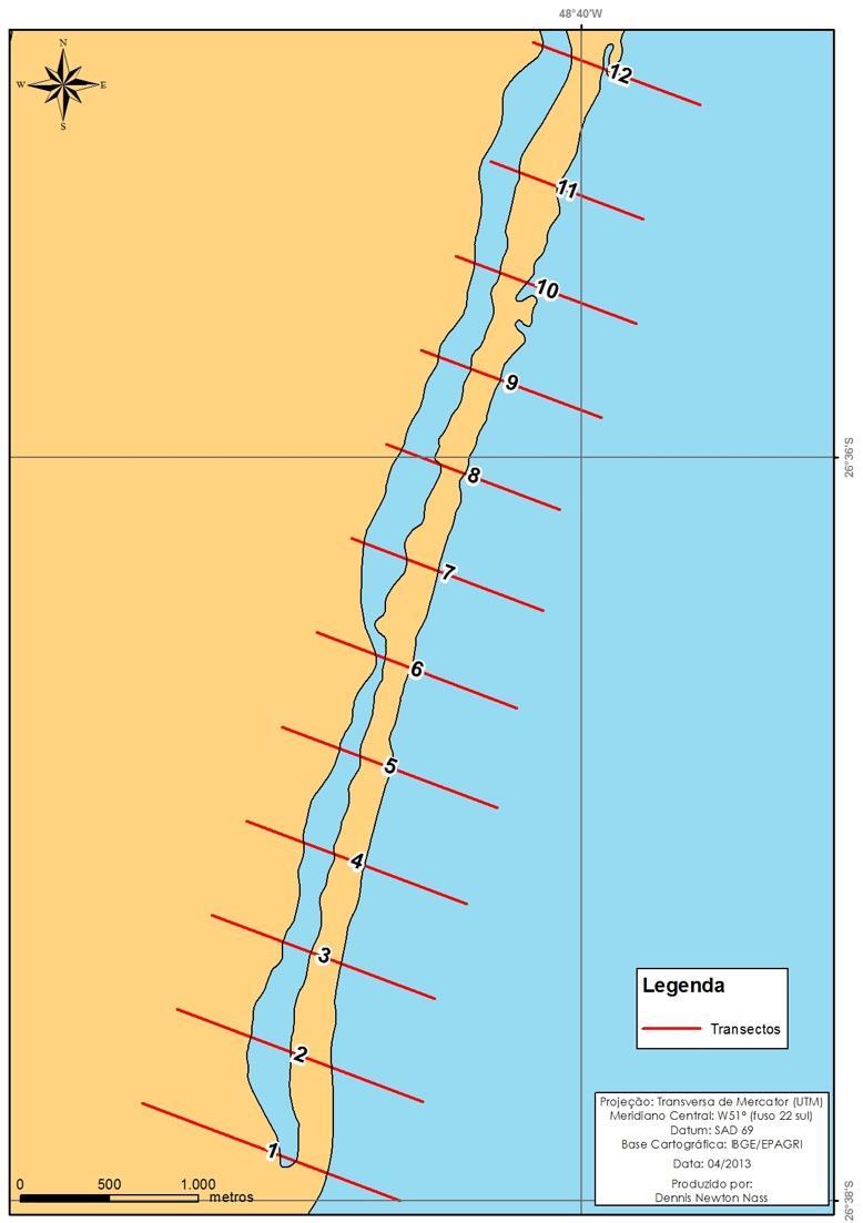 Figura 3. Localização dos transectos perpendiculares a linha de costa.