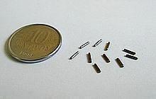 Figure 1: Photo of the seeds (IPEN file). 1.4. Epoxy Resin Epoxy resins also called polyepoxide is a thermosetting plastic that hardens when mixed with a catalyst and hardener.