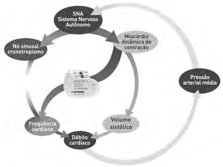 coração são geralmente reduzidos pelos efeitos inibitórios da atividade do tônus parasimpático (vagal).