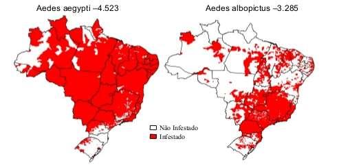 Infestação Aedes Brasil Pico