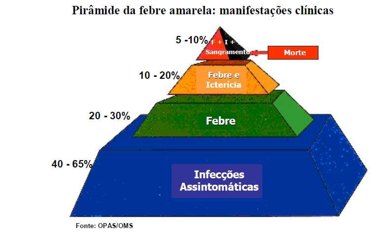 P.I.: 3-6 dias Até 90%