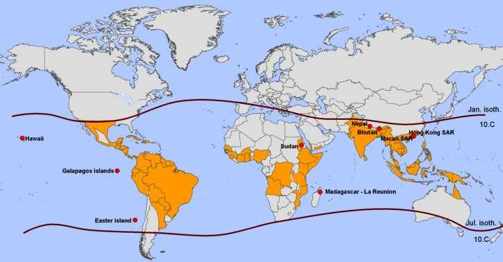 Novas estimativas: ~50-100 milhões de