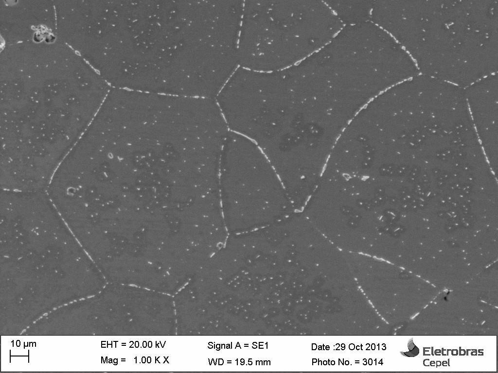 Figura 35 - Micrografia eletrônica de varredura do aço AISI 441 envelhecido.