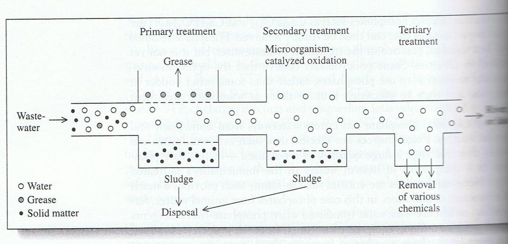 Sistema tipico de tratamento de esgotos e efluentes Materia Bio Organicos clorados Fenois Cianetos HM Decomposiçao anaerobica Lamas são na maior parte materia organica Tratamento mecanico e Remove