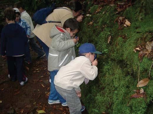 social cultural e ambiental utilização das condições e