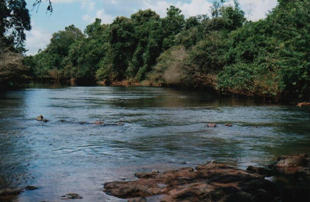 No leito do rio Iguaçu foram definidas três estações de coleta, uma próxima ao futuro eixo da barragem (Figura 1.