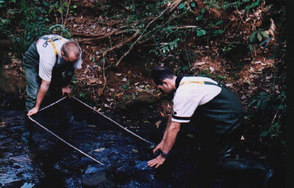 Nos pontos de amostragem no leito do rio Iguaçu foram utilizadas 15 redes de malhas 1,5/2,5/3,5/4,0/6,0/8,0/12,0cm entre nós consecutivos, expostas durante 24 horas em cada fase de campo e ponto