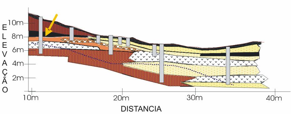 textura arenosa grosseira e angulosa. A análise de 14 C indicou idades entre 8310 +/- 65 anos (A.P.) 