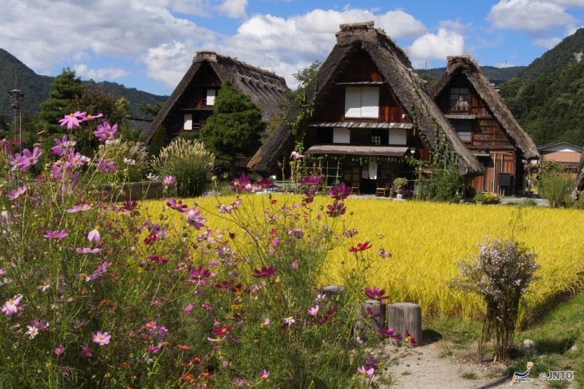 A tranquilidade e paz do local fazem com que o Kinkakuji seja um dos templos mais famosos do mundo.