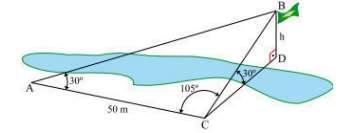 Com o objetivo de determinar a altura h do mastro, ela anda, em linha reta, 50 m para a direita do ponto em que se encontrava e marca o ponto C.