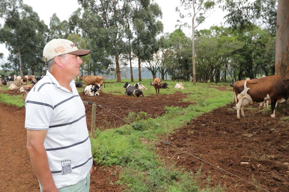 Leite - Catanduvas-PR O exemplo de vocação na atividade leiteira O cooperado