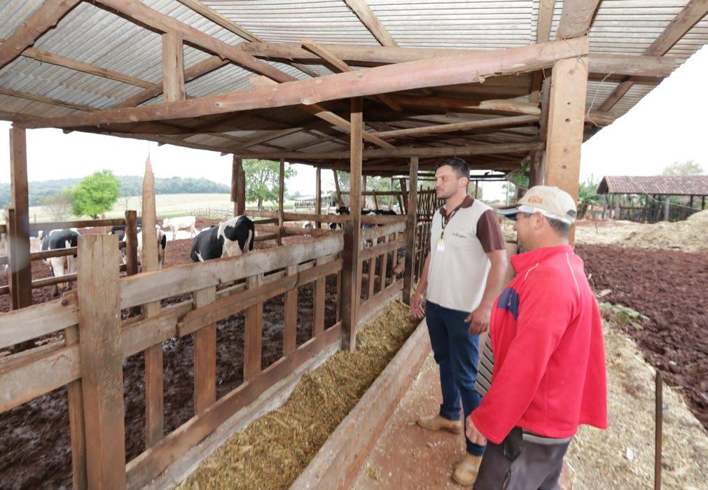 Leite - Catanduvas-PR Nutrição Animal que amplia a produção de leite Desde que iniciou a nutrição animal