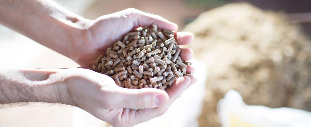 Para que a atividade leiteira possa ser competitiva, fatores como genética e nutrição animal são fundamentais para que os resultados possam ser cada vez melhores.