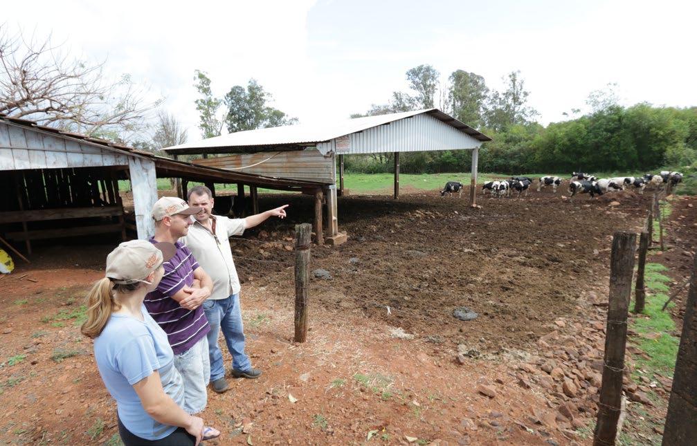 Leite - Nova Santa Rosa-PR Atuação em família na propriedade rural A Família cooperada está utilizando a ração da Primato há cinco anos e com resultados satisfatórios A agricultura familiar se refere