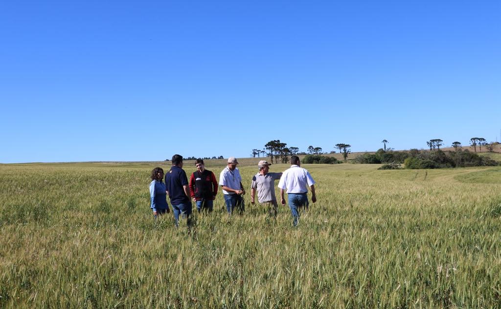 Agrícola - Vera Cruz do Oeste-PR A sucessão familiar na produção agrícola O cooperado Adelir Rovani atua com a agricultura e vem trabalhando a sucessão familiar em sua propriedade Um dos grandes