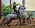 PAR RLH, A NOVA CAMPEÃ DE ESTEIRA DO HARAS LC.