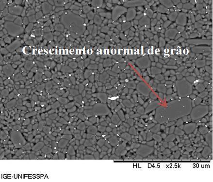 Nota-se também a boa dispersão da zircônia nos contornos de grão de alumina e nos pontos triplos.