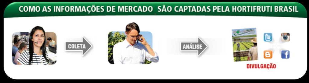 Os analistas de mercado da HF Brasil entram em contato com os colaboradores coletando informações de mercado e preços.