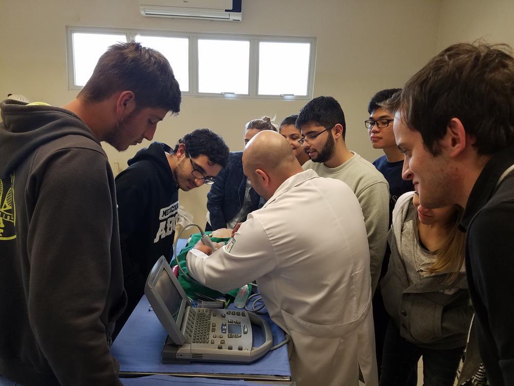 ministradas aulas e treinamentos em cirurgia endovascular, punções guiadas, cirurgia videolaparoscópica, cirurgias de urgência e emergência, técnicas de sutura de pele e enxertos.