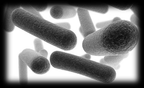 Mecanismos de Ação Toxina Bt que promove