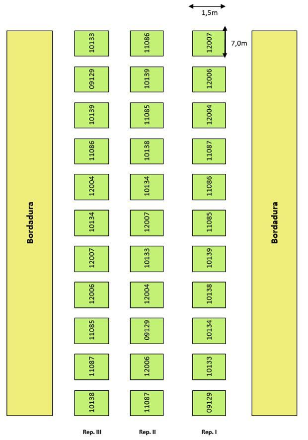 Pág. 37 Anuário de Experimentação 2012 Delineamento Experimental e Esquema de Campo Estiveram em ensaio um total de 11 variedades em 2012, incluindo as testemunhas de rendimento e de