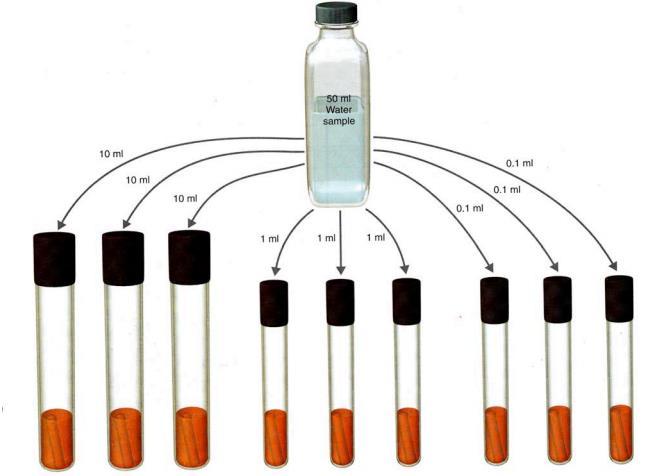 46 O que indica: NMP < 1,1 / 100 ml ou NMP 2,2 / 100m ml?