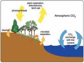 4. Retroalimentações biogeoquímicas no aquecimento