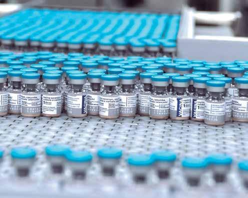 Vacina febre amarela: novas abordagens Bio-Manguinhos possui dois projetos voltados ao combate da febre amarela.