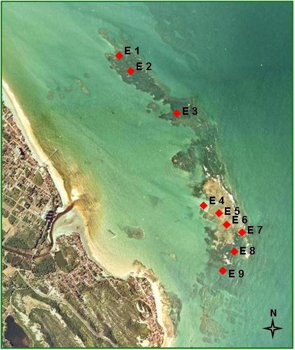 Imagem: Idema Figura 2. Localização das estações de coleta sobre a franja recifal de Pirangi, Rio Grande do Norte. Tabela 1.