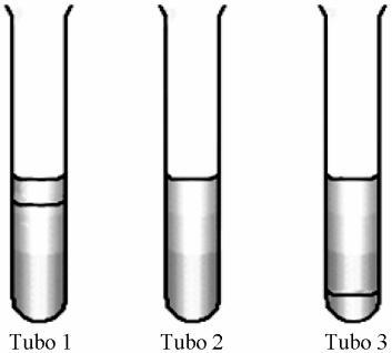 07. Em um laboratório de química, um estudante separou em frascos semelhantes três solventes que utilizaria em seu experimento.