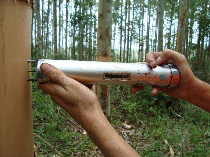 36 3.3.3 Densidade básica Para estimar a densidade básica das árvores em pé e vivas, utilizou-se um equipamento denominado Pilodyn, que informa a resistência do tronco a perfuração de uma broca.